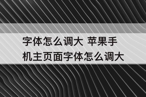 字体怎么调大 苹果手机主页面字体怎么调大