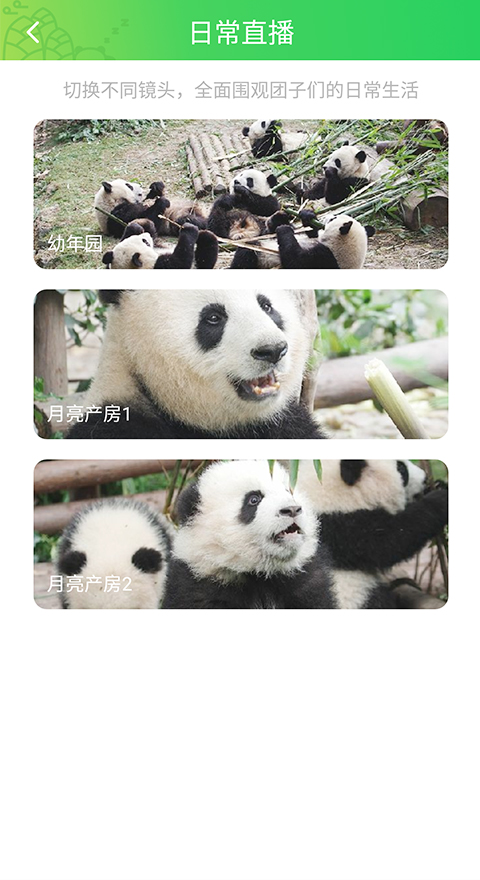 pandapia  v2.13图3