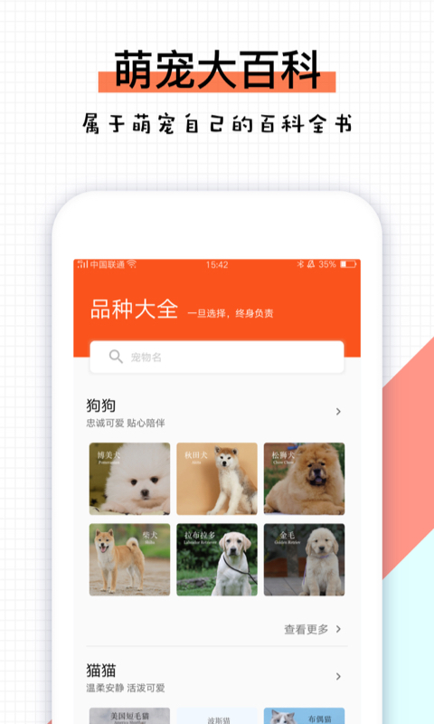 四只猫  v2.0图3