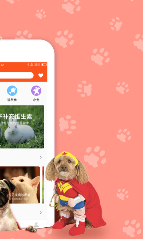 四只猫  v2.0图2