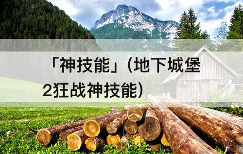 「神技能」(地下城堡2狂战神技能)