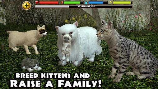 流浪猫模拟器  v1.0.0图2