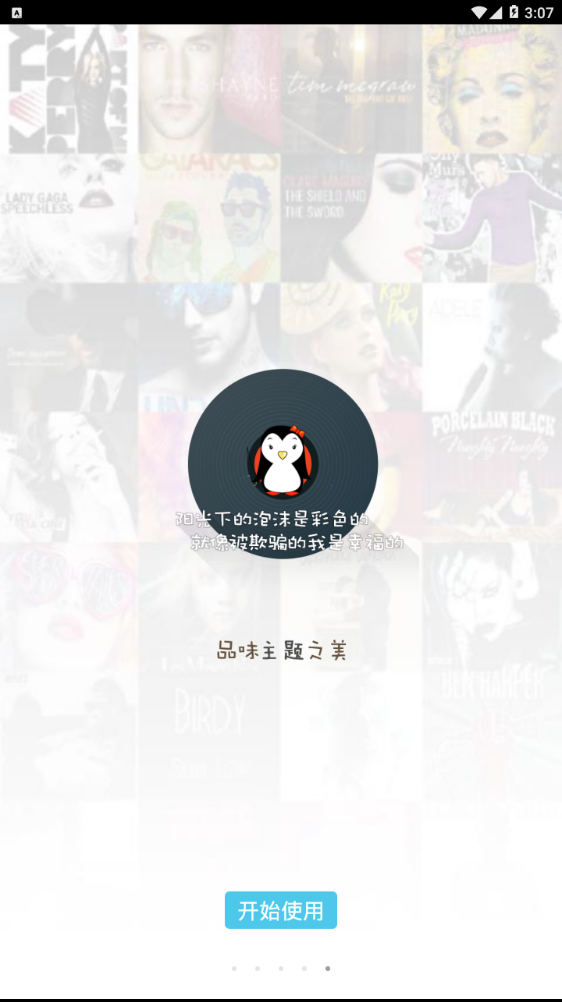 主题皮肤大师  v11.9图5