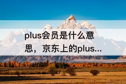 plus会员是什么意思，京东上的plus会员是什么意思