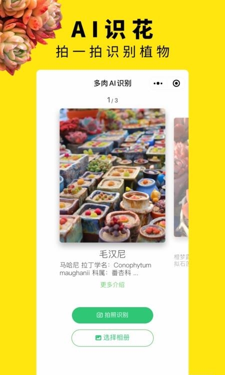 多肉圈官方版  v2.0图2