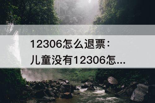 12306怎么退票：儿童没有12306怎么退票