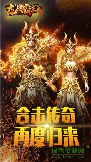 龙战霸主盛大版  v2.06图3