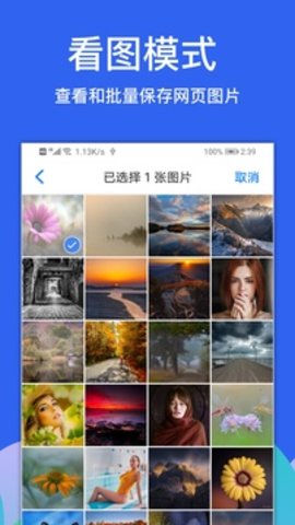 Alook浏览器  v6.1图1