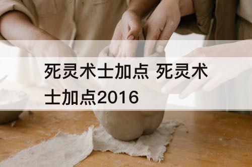 死灵术士加点 死灵术士加点2016