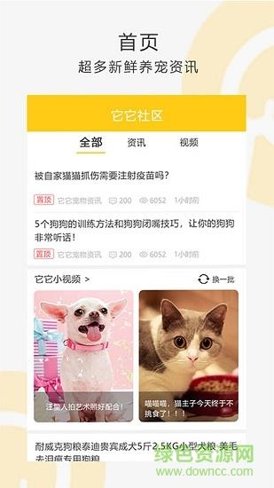 我爱它它  v2.0.3图4