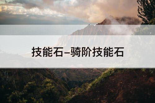 技能石-骑阶技能石