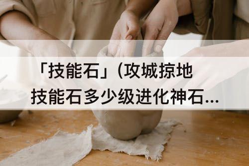 「技能石」(攻城掠地技能石多少级进化神石)