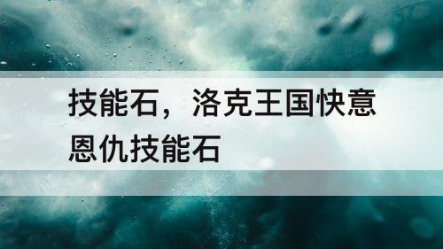 技能石，洛克王国快意恩仇技能石