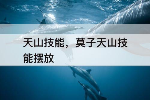 天山技能，莫子天山技能摆放