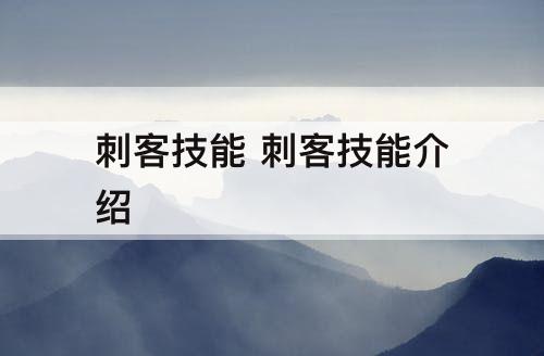 刺客技能 刺客技能介绍