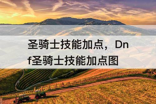 圣骑士技能加点，Dnf圣骑士技能加点图