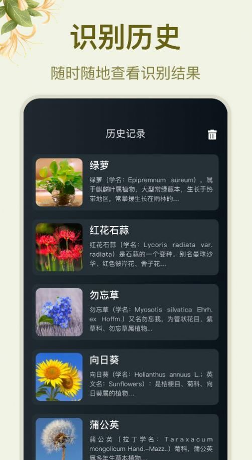 拍照识花大师  v1.1图1