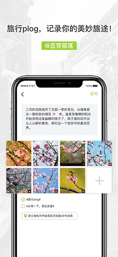 豆芽部落  v2.0.19图1