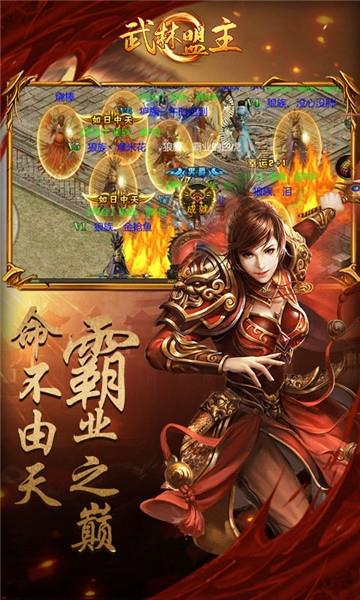 武林盟主  v2.01图2