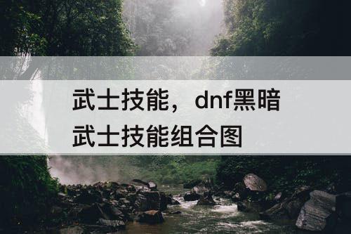 武士技能，dnf黑暗武士技能组合图