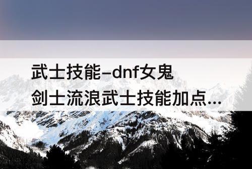 武士技能-dnf女鬼剑士流浪武士技能加点图