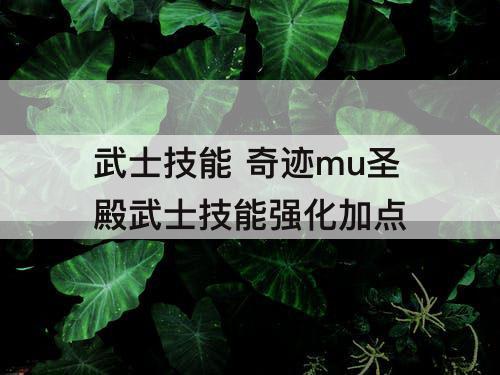 武士技能 奇迹mu圣殿武士技能强化加点