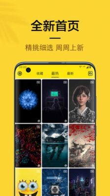 橙子4D动态壁纸  v5.1.0图3