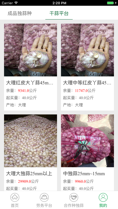 蒜眼安卓版  vv1.0图2