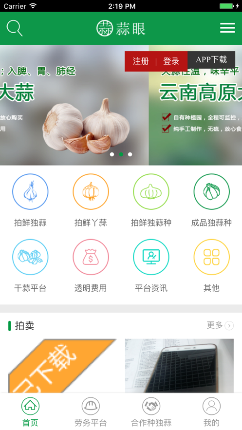 蒜眼安卓版