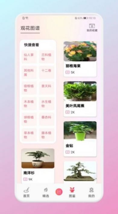 养花大掌柜  v1.4图2