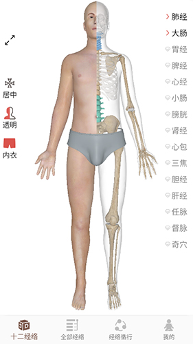 经络穴位3D