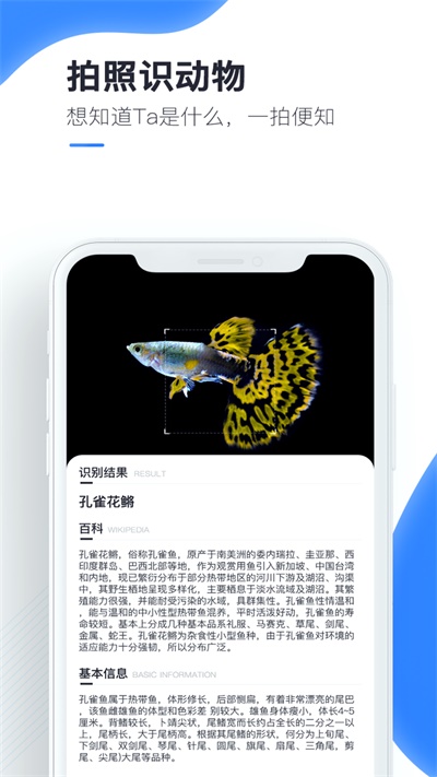 百科扫描王免费下载官网  v1.0.0图1