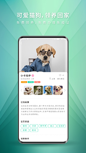 麦道  v2.4.6图3