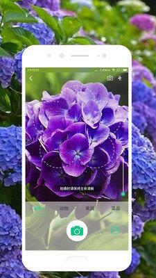 识别花草树木的  v1.4.17图2