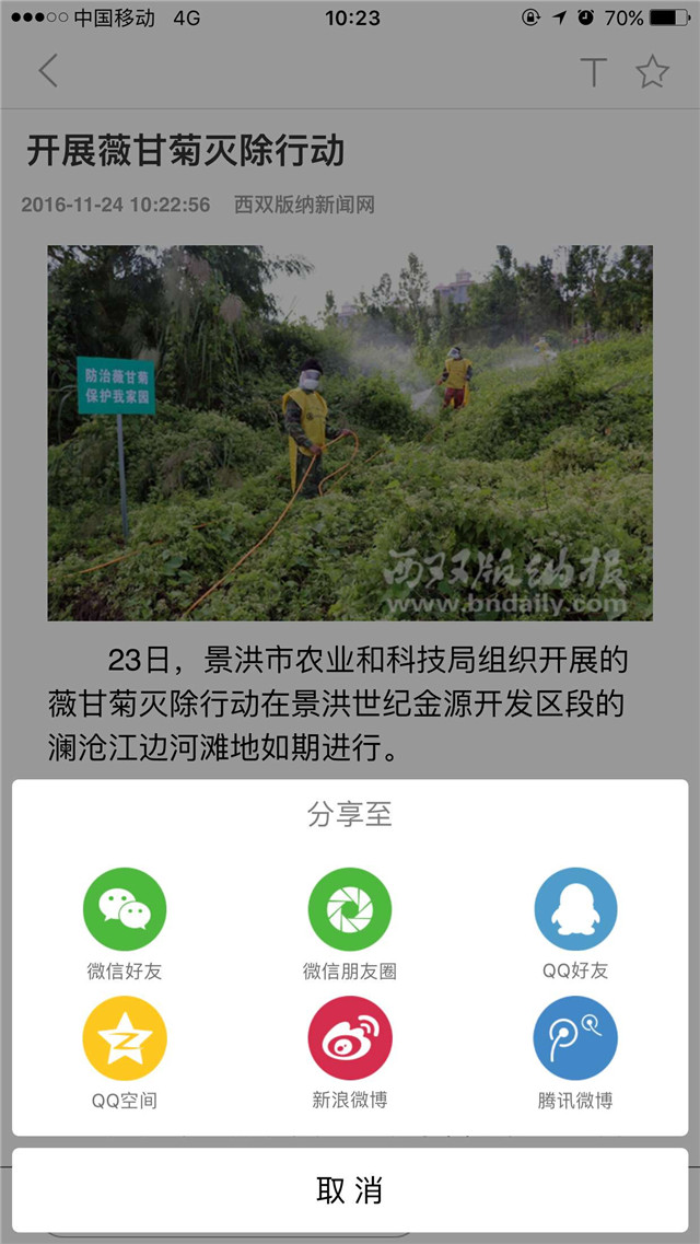 美丽西双版纳  v1.0图4