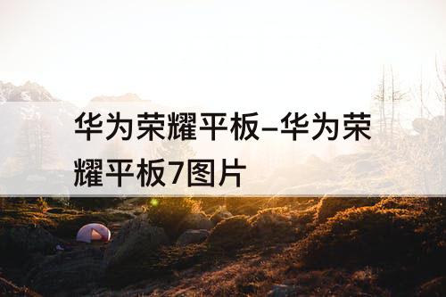 华为荣耀平板-华为荣耀平板7图片