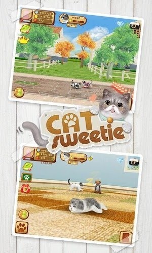 心动小猫安卓版  v1.36.2图1