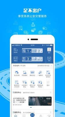 交管12123官网手机app下载最新版  v2.4.8图2