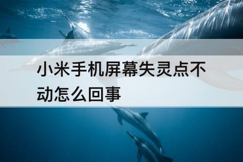 小米手机屏幕失灵点不动怎么回事